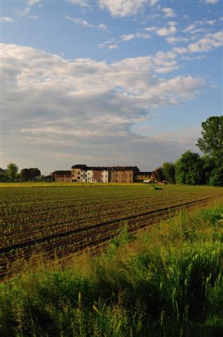 49010_120_012 (Small)