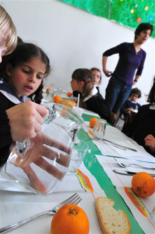 49010_120_013 (Small)