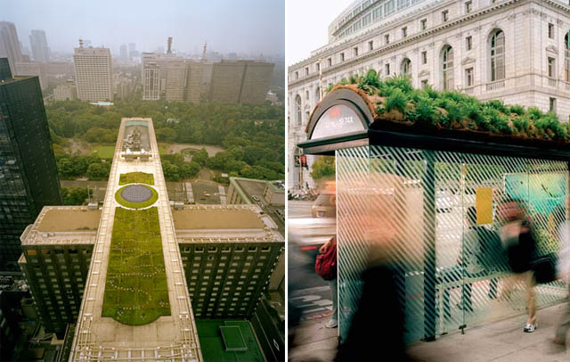 Sostenibilità, San Francisco batte Vancouver