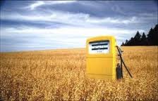 biocarbur Greenpeace: “I biocarburanti sono dannosi per l’ambiente”