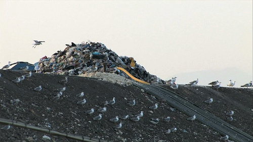 discarica 2 Riciclare i rifiuti rende di più di discariche e inceneritori
