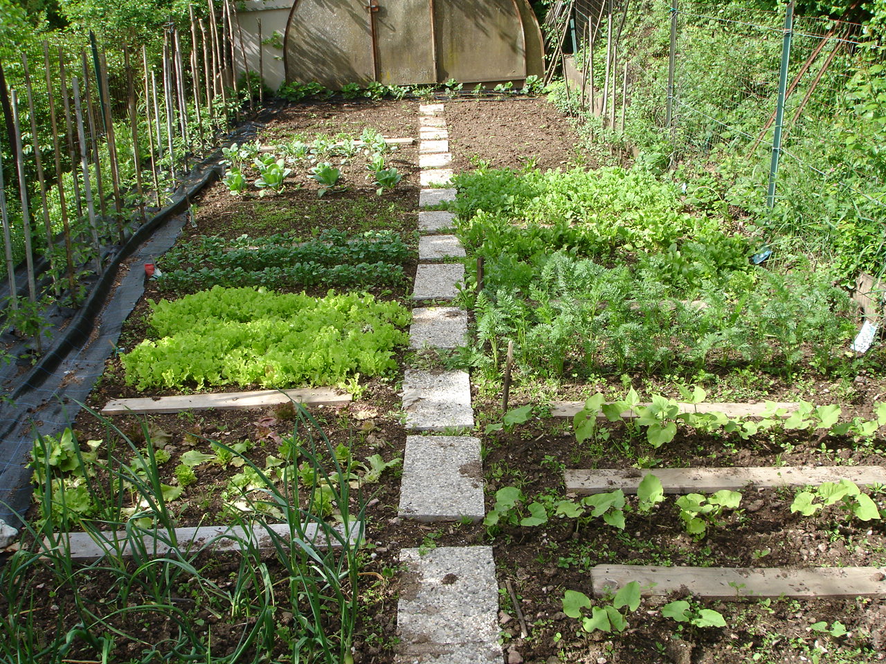 Orti Comunali a Gennaio via al Bando del Comune di Capannori Orti Comunali a Gennaio via al Bando del Comune di Capannori