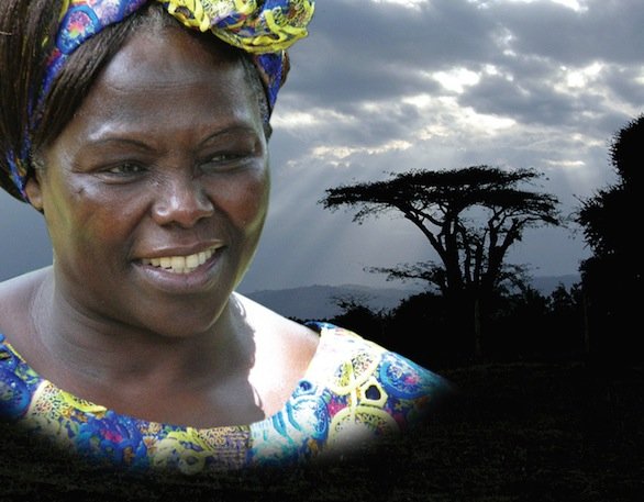 Festa della donna, al via la prima edizione del Premio Donne Pace e Ambiente dedicato a Wangari Maathai