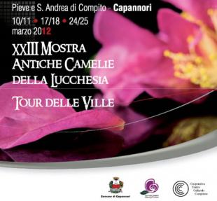 Sabato 10 marzo si inaugura la 23a 'Mostra delle Antiche Camelie della Lucchesia'. Il programma degli eventi