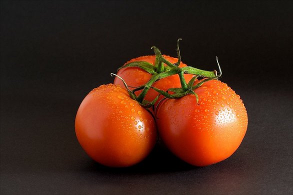 pomodoro Pomodoro italiano, accordo al ribasso: si perde il 20% del coltivato