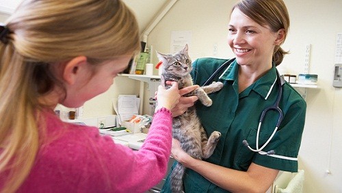 Visite veterinarie gratuite per cani e gatti a marzo