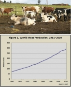 I consumi di carne continuano a crescere e a "mangiarsi" il pianeta