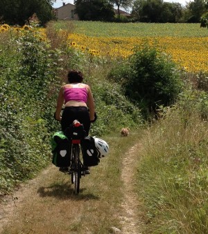 Francia, le piste ciclabili valgono 1,9 miliardi e danno lavoro a oltre 16mila persone Francia, le piste ciclabili valgono 1,9 miliardi e danno lavoro a oltre 16mila persone