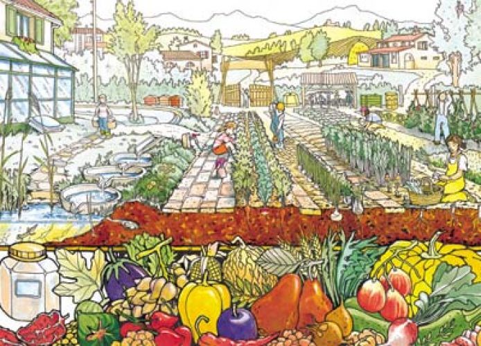 Orti solidali:a Capannori un corso di formazione in agricoltura sociale e filiera corta