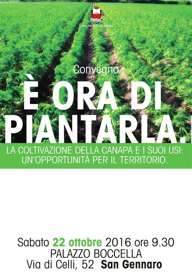 Convegno sulla canapa a Capannori: "E' ora di piantarla" Convegno sulla canapa a Capannori: "E' ora di piantarla"