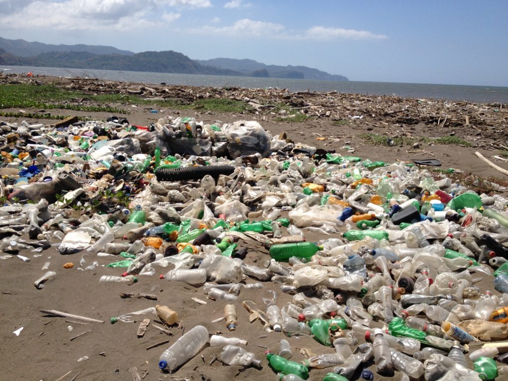 ‘Banditi 10 prodotti in plastica monouso’: ecco le nuove norme Ue per ridurre il marine litter